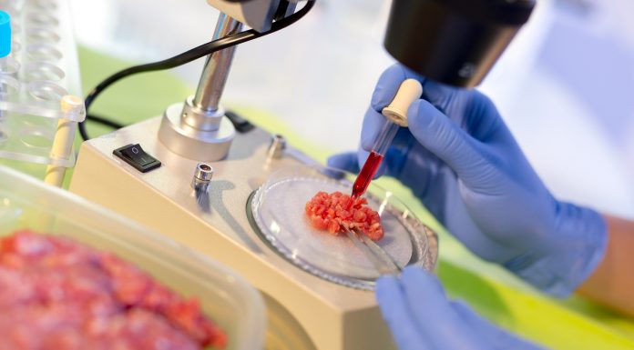 Food quality control expert inspecting at meat specimen in the laboratory.